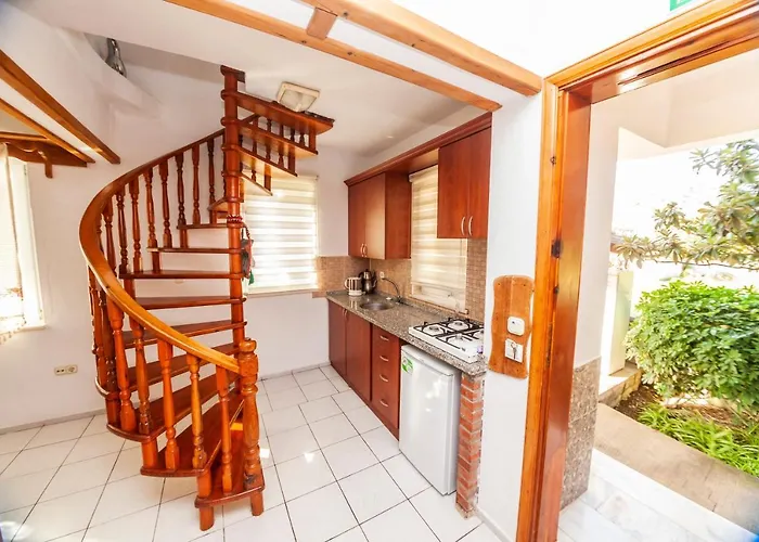 Gardenia Дальян